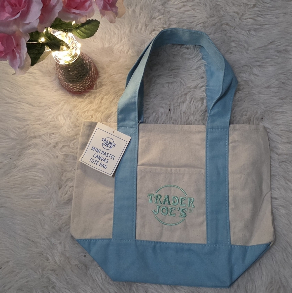 Mini Pastel Canvas Tote Bag - Light Blue & Cream